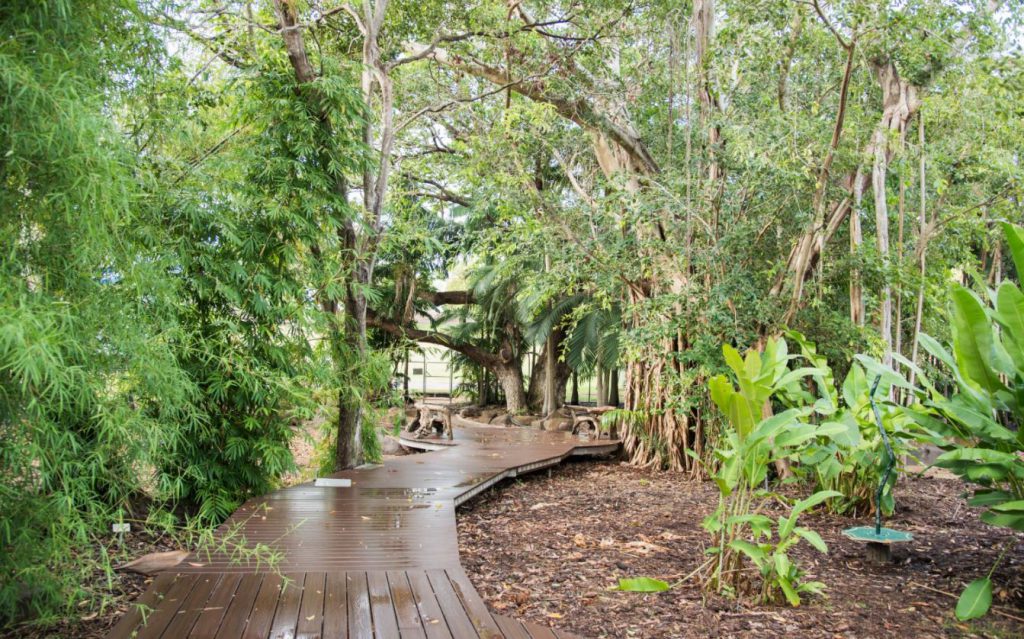 Botanical tropical gardens NT