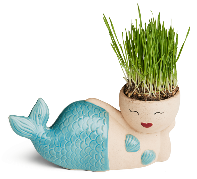 Mermaid pot