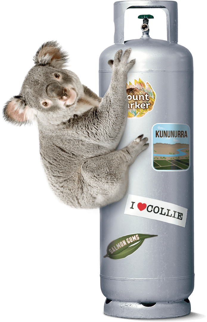 Kleenheat TVC Character