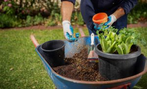 Steve mixing three key soil improvement ingredients. homegrown gardening goodness steve wood deryn thorpe