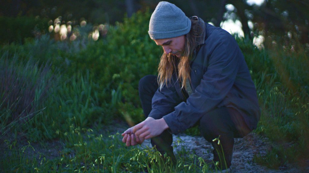 Paul Iskov foraging