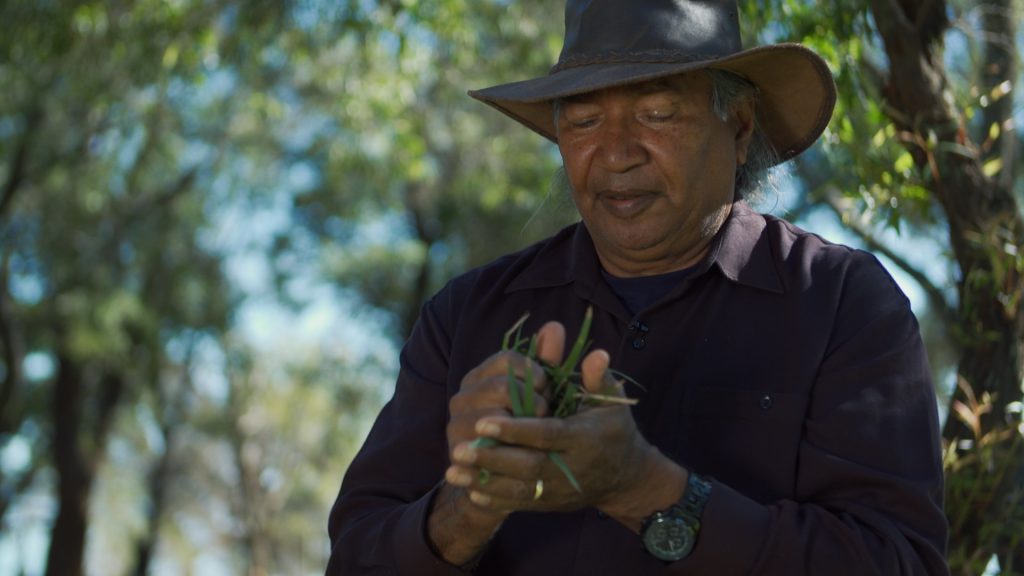 George Walley with peppermint leaves - Aboriginal Culture