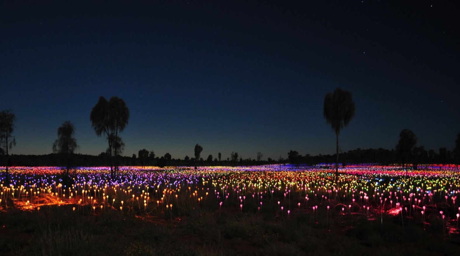 Field Of Lights Uluru events
