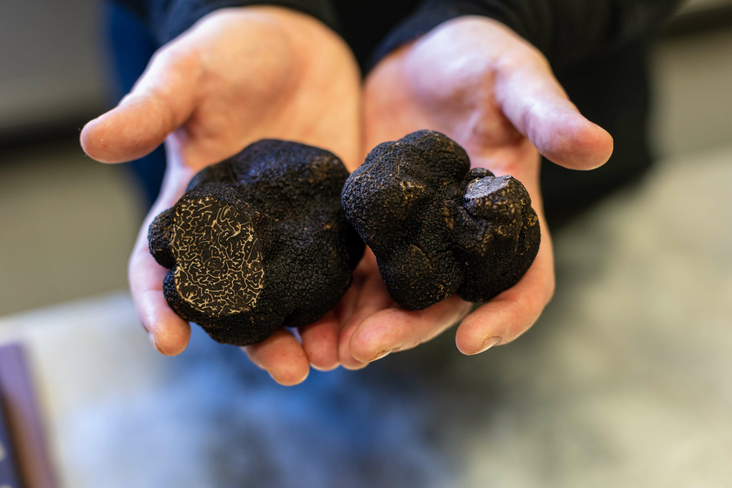 holding truffles in hands